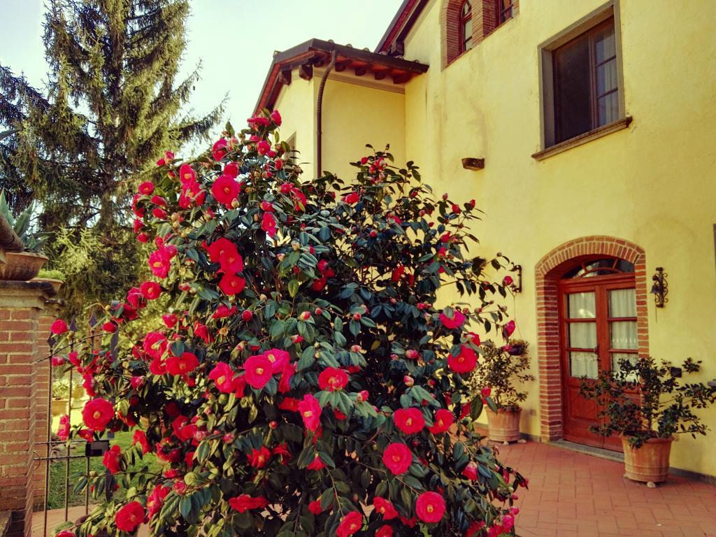 Agriturismo Il Piastrino 芬奇 外观 照片