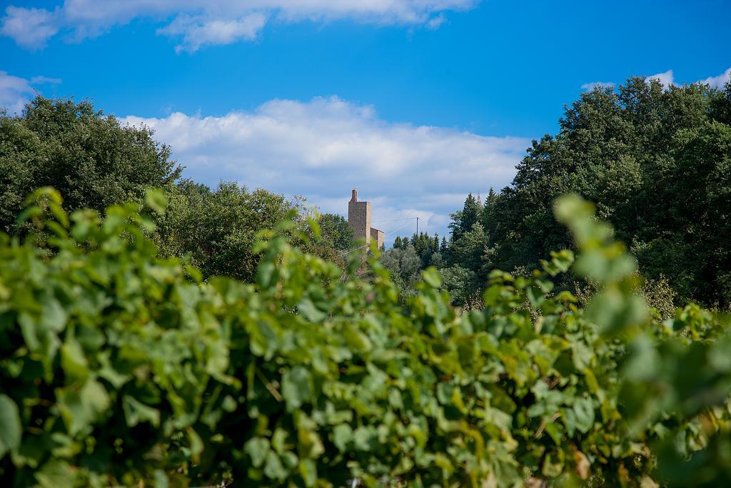Agriturismo Il Piastrino 芬奇 外观 照片